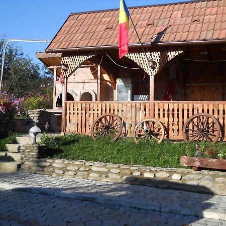 Pensiunea Roua Muntilor Sîmbăta de Sus Zewnętrze zdjęcie