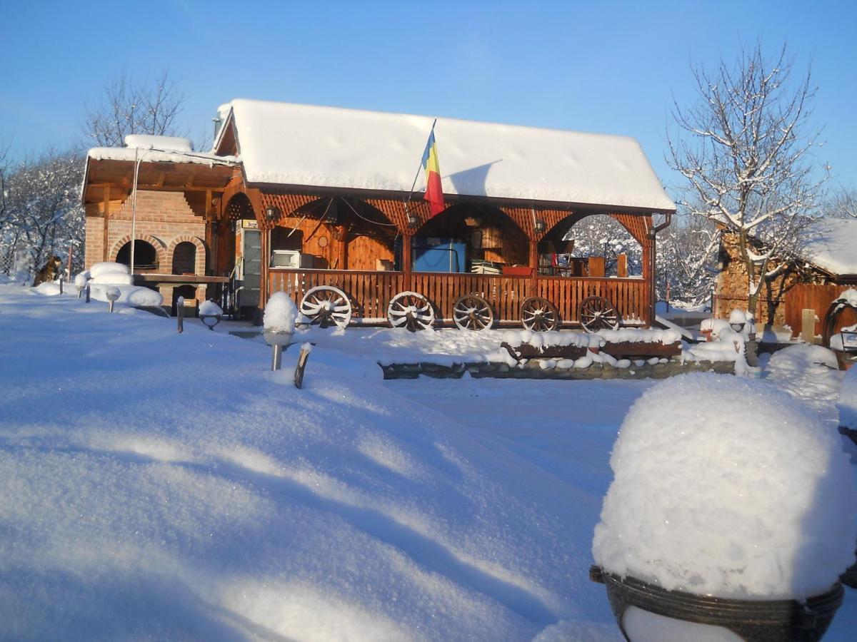 Pensiunea Roua Muntilor Sîmbăta de Sus Zewnętrze zdjęcie