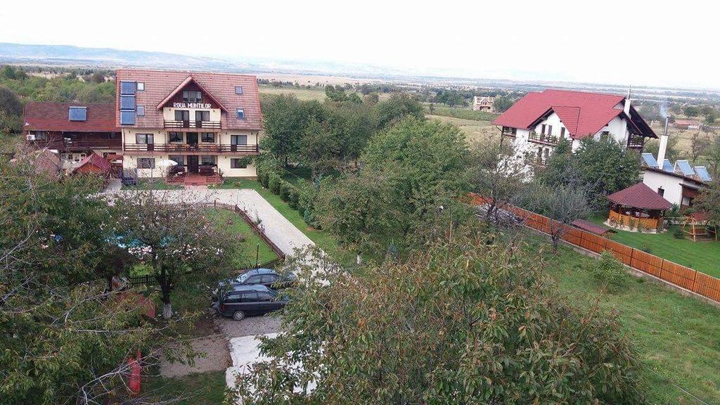 Pensiunea Roua Muntilor Sîmbăta de Sus Zewnętrze zdjęcie