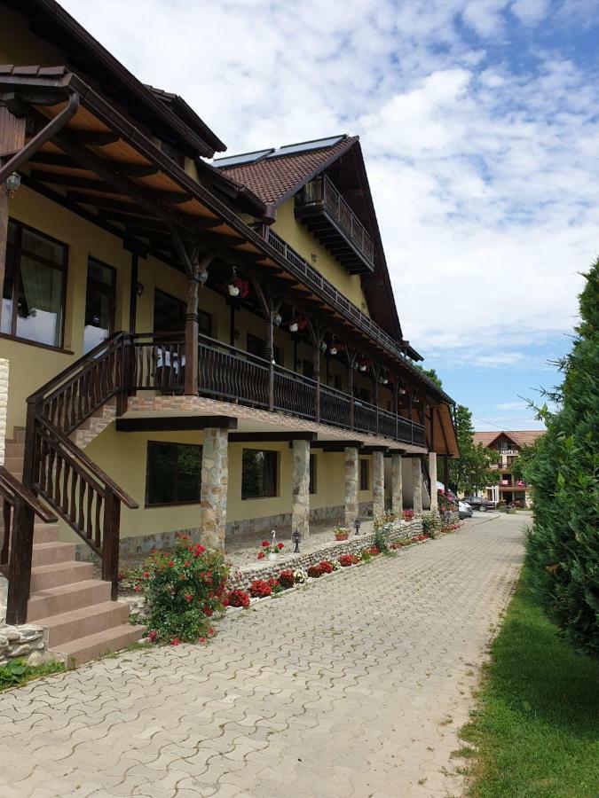 Pensiunea Roua Muntilor Sîmbăta de Sus Zewnętrze zdjęcie